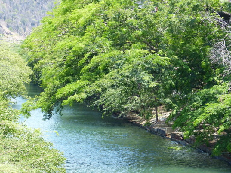 Acuario y museo del mar Santa Marta